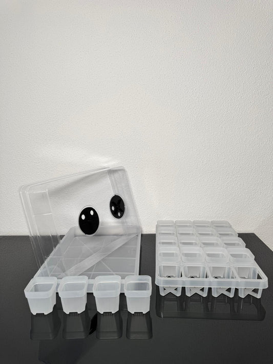 Anzuchtbox 20 Pflanzen belüftet transparent FoxerasPlants
