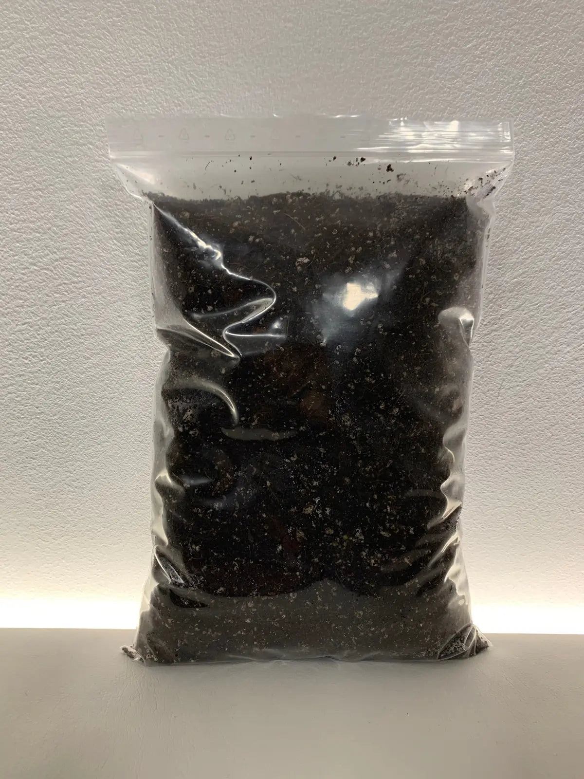 Luftiger Aroids Erdmix - Monstera Philodendron Alocasia Foxeras Plants