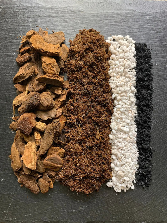 Luftiger Aroids Erdmix - Monstera Philodendron Alocasia Foxeras Plants