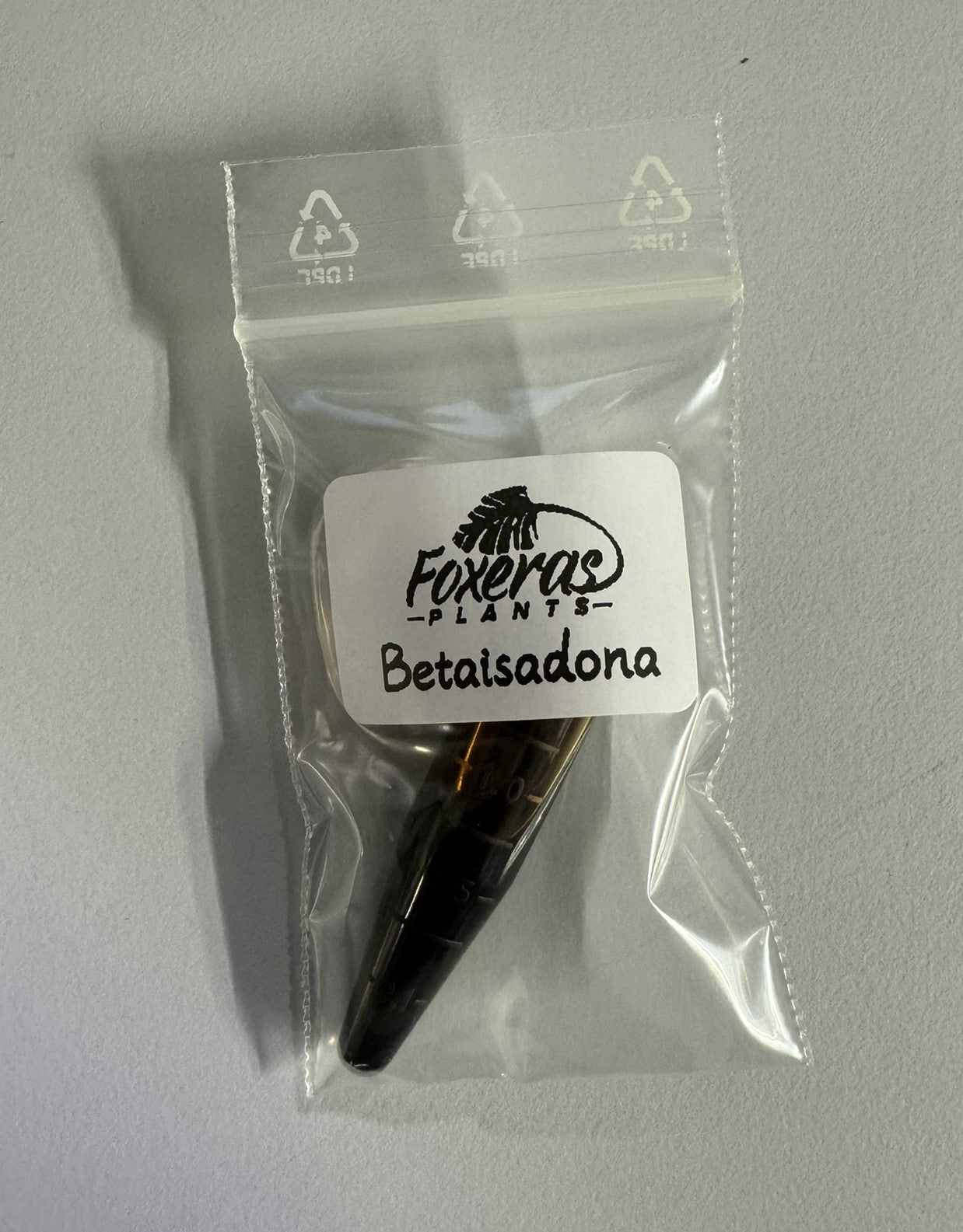 Jod-Lösung (1,5ml) in Ampulle FoxerasPlants
