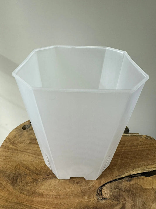 Transparente eckige Pflanzentöpfe in 5 Größen Foxeras Plants