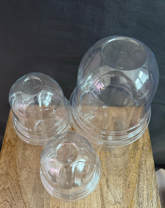 Anzuchtbecher mit Deckel