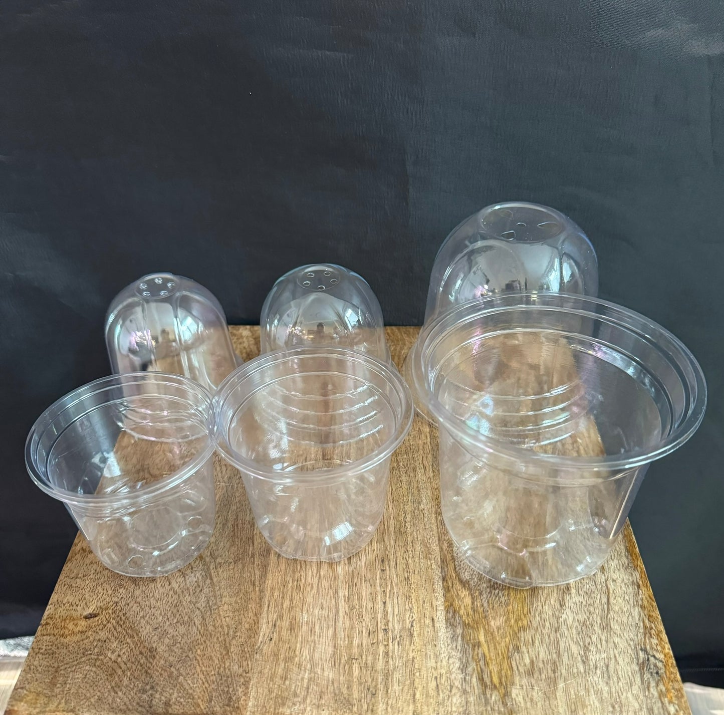 Anzuchtbecher mit Deckel