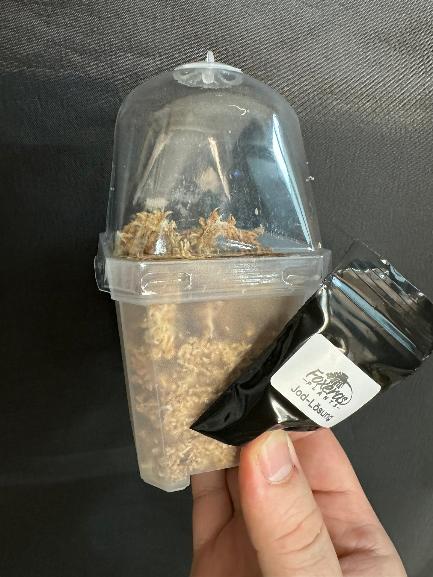 TC-Kit (ohne Pflanze)