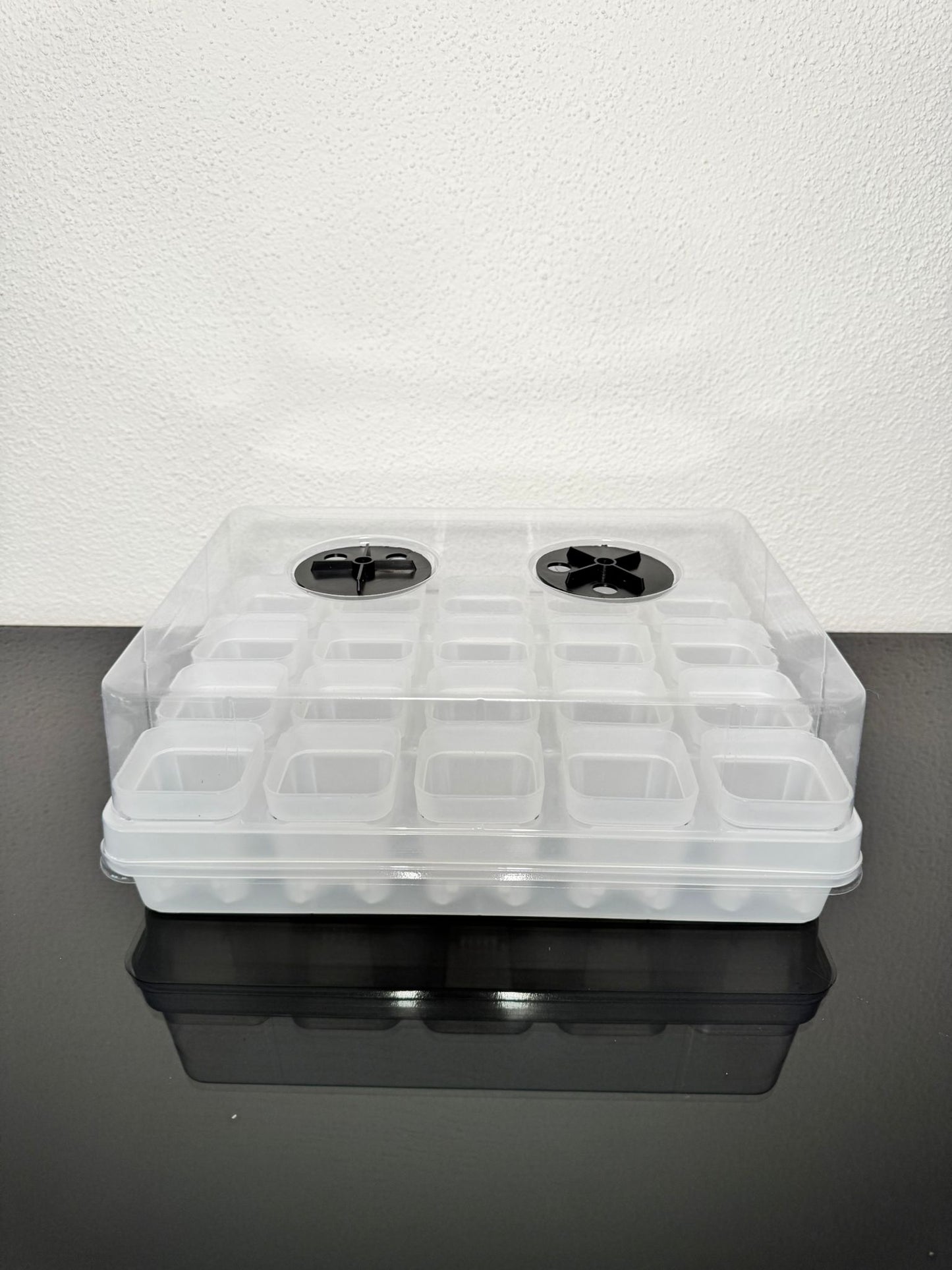 Anzuchtbox 20 Pflanzen belüftet transparent
