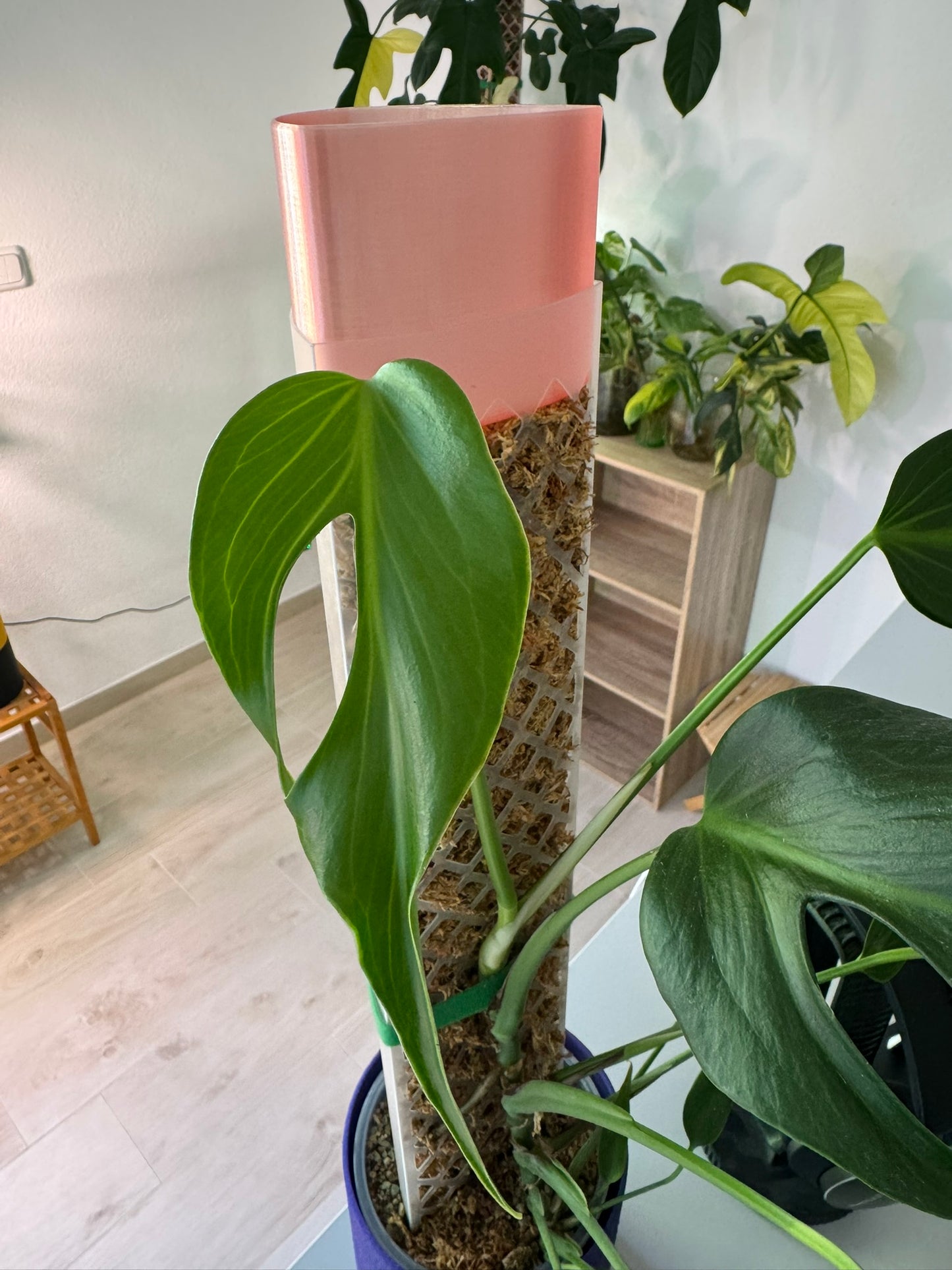 Gießhilfe für Moos-Stab / Moss-Pole 60cm lang 10cm breit