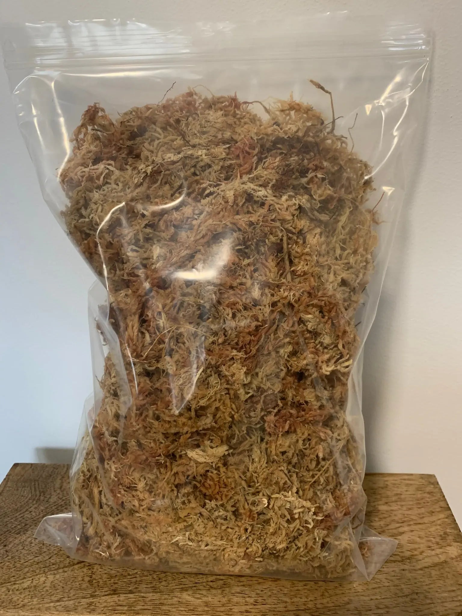 Sphagnum Moos Zur Bewurzelung Von Stecklingen Und Rhizomen Sphagnum Moos Zur Bewurzelung Von Stecklingen Und Rhizomen